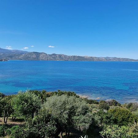 Appartement Sur La Baie De Saint Florent Патрімоньйо Екстер'єр фото