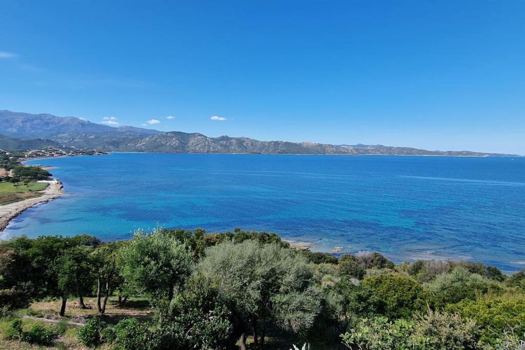 Appartement Sur La Baie De Saint Florent Патрімоньйо Екстер'єр фото