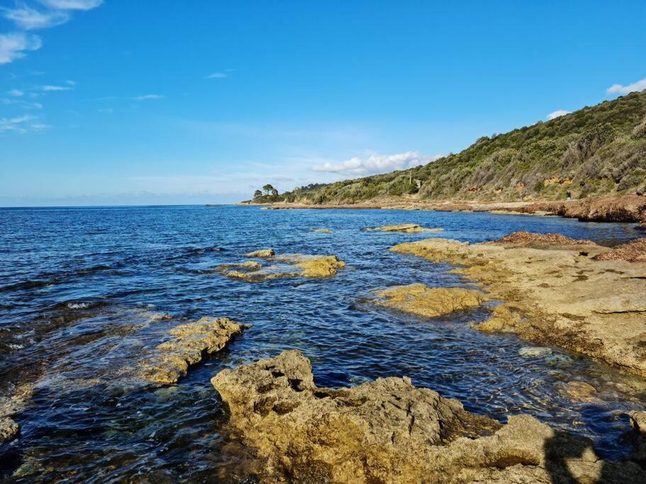 Appartement Sur La Baie De Saint Florent Патрімоньйо Екстер'єр фото