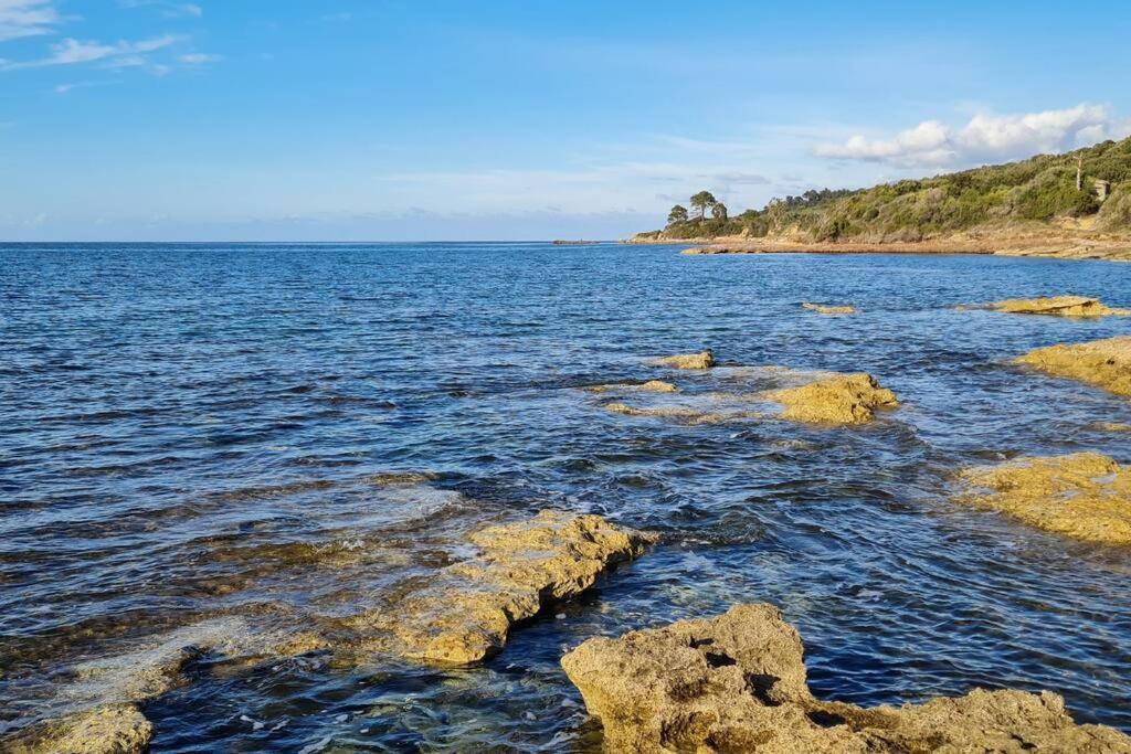 Appartement Sur La Baie De Saint Florent Патрімоньйо Екстер'єр фото