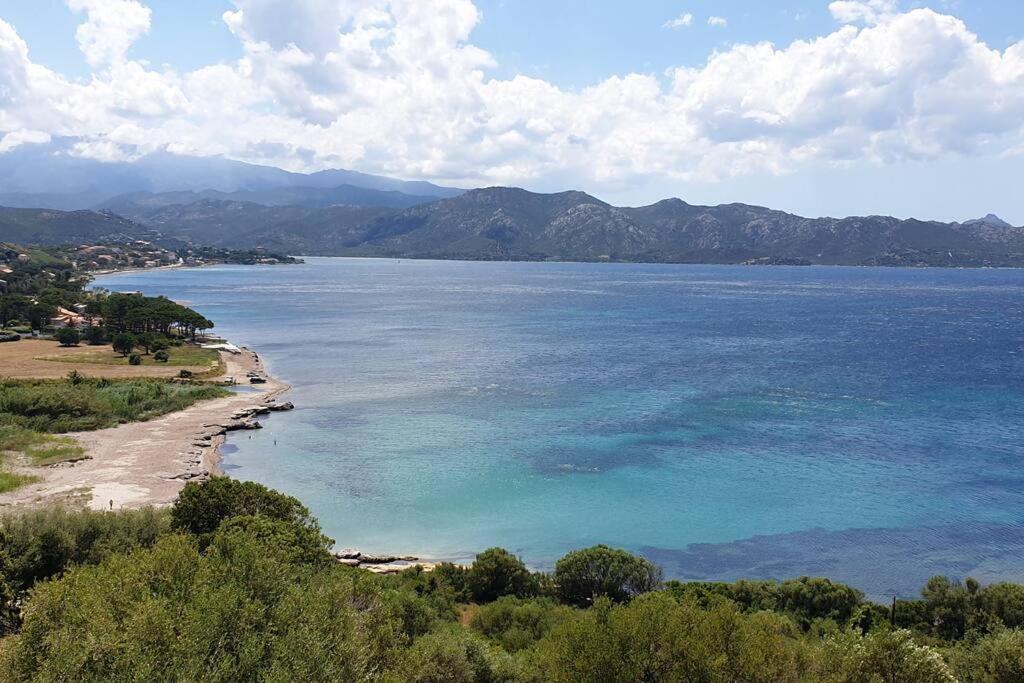 Appartement Sur La Baie De Saint Florent Патрімоньйо Екстер'єр фото